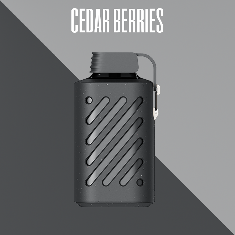 VOZOL GEAR 10000 Vape Cedar Berries