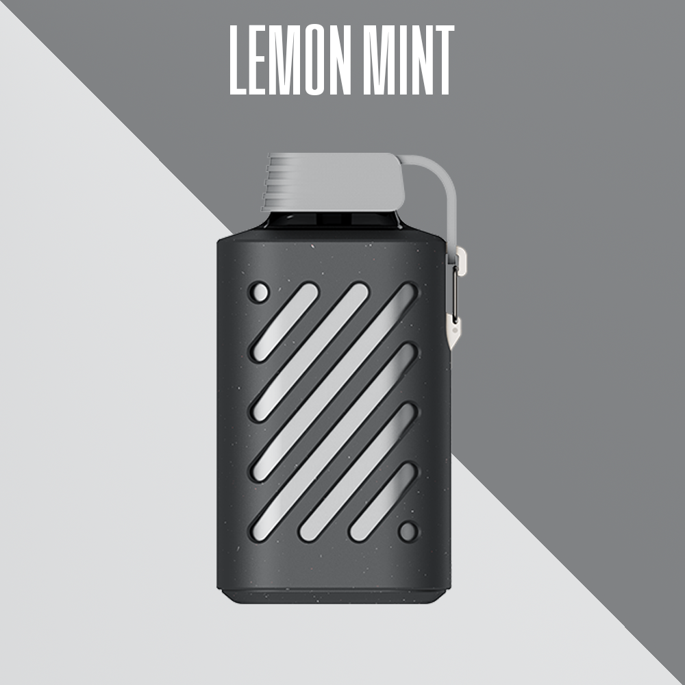 VOZOL GEAR 10000 Vape Lemon Mint - Vozol