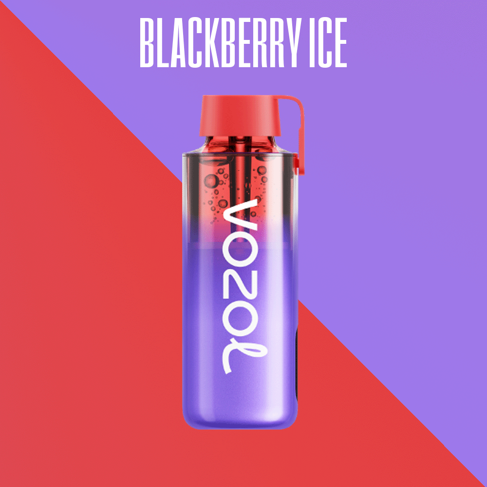 VOZOL NEON 10000 Vape Blackberry Ice - Vozol